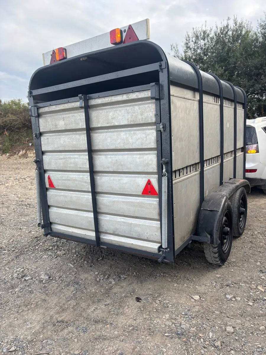 Ifor Williams 10x5”6 cattle box - Image 2