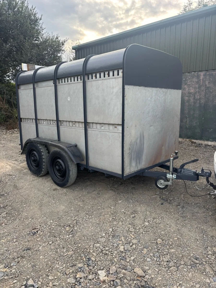 Ifor Williams 10x5”6 cattle box - Image 1