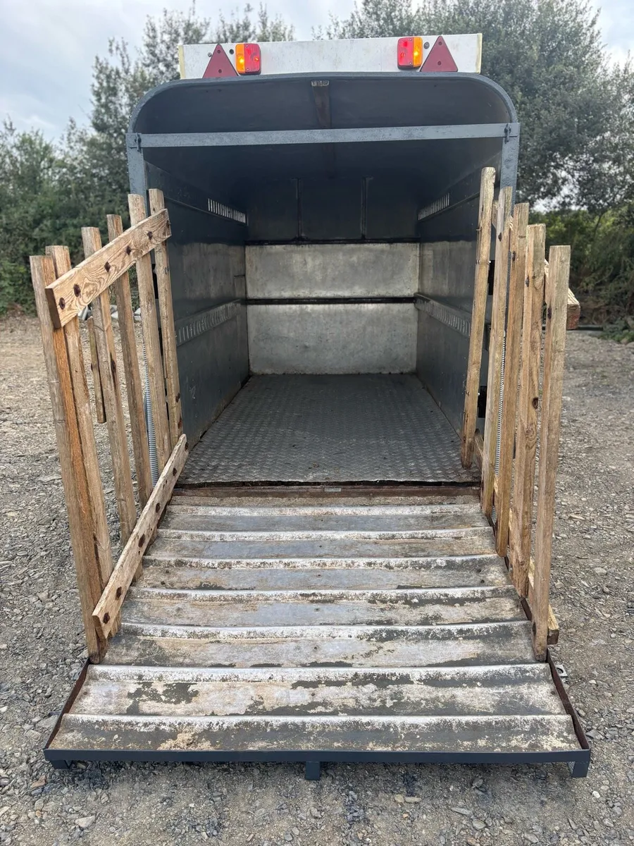 Ifor Williams 10x5”6 cattle box - Image 4