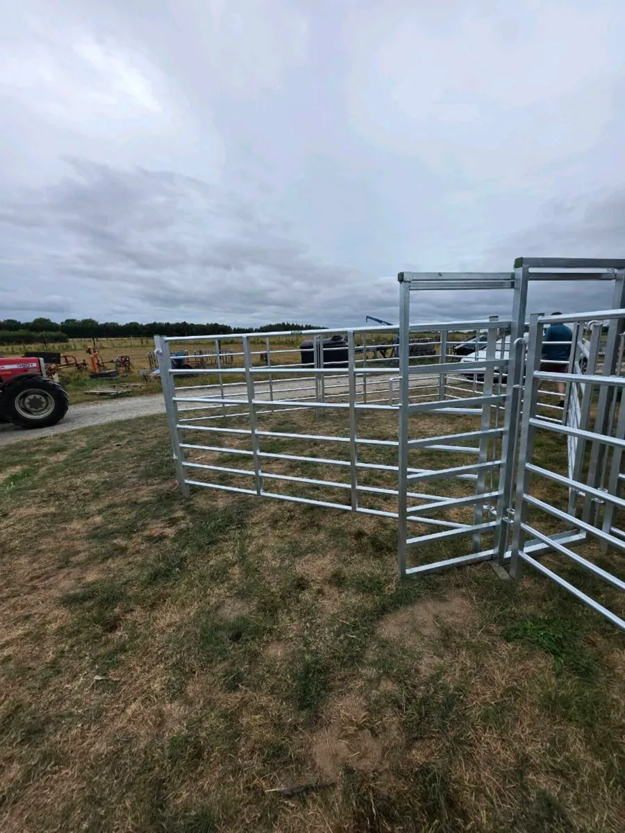 Clearance Auction this evening Wednesday 19th Augu - Image 1