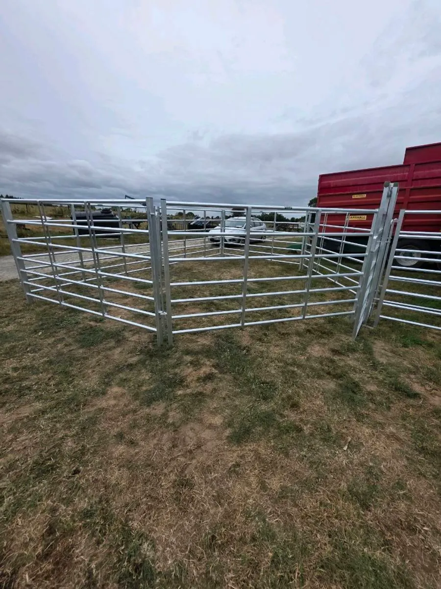 Clearance Auction this evening Wednesday 19th Augu - Image 2