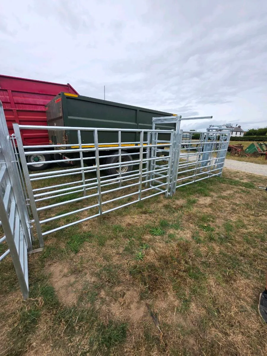 Clearance Auction this evening Wednesday 19th Augu - Image 3