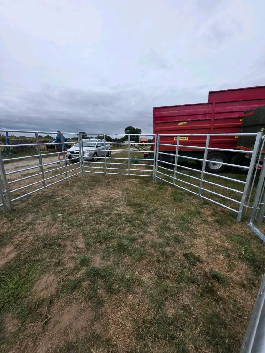 Clearance Auction this evening Wednesday 19th Augu - Image 4