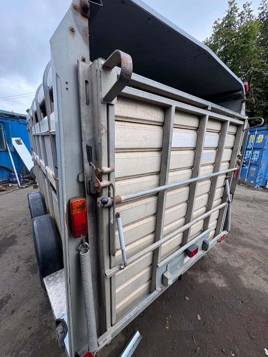 Ifor Williams 12ft livestock trailer - Image 2