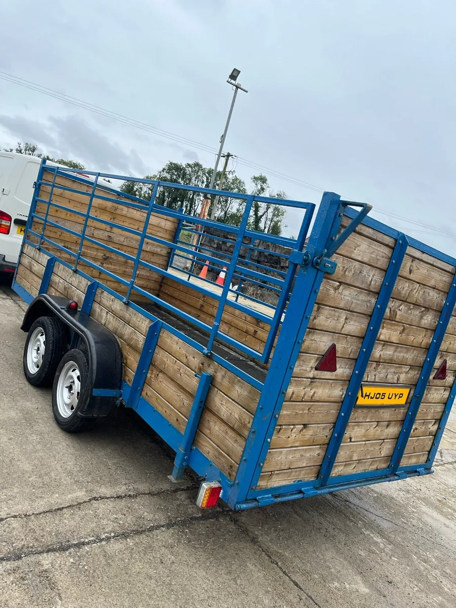 🔥TWIN AXLE TRAILER 14x5🔥€1950 PRICE DROP - Image 2