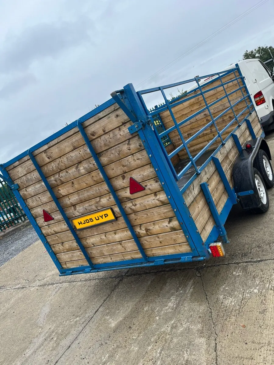 🔥TWIN AXLE TRAILER 14x5🔥€1950 PRICE DROP - Image 4