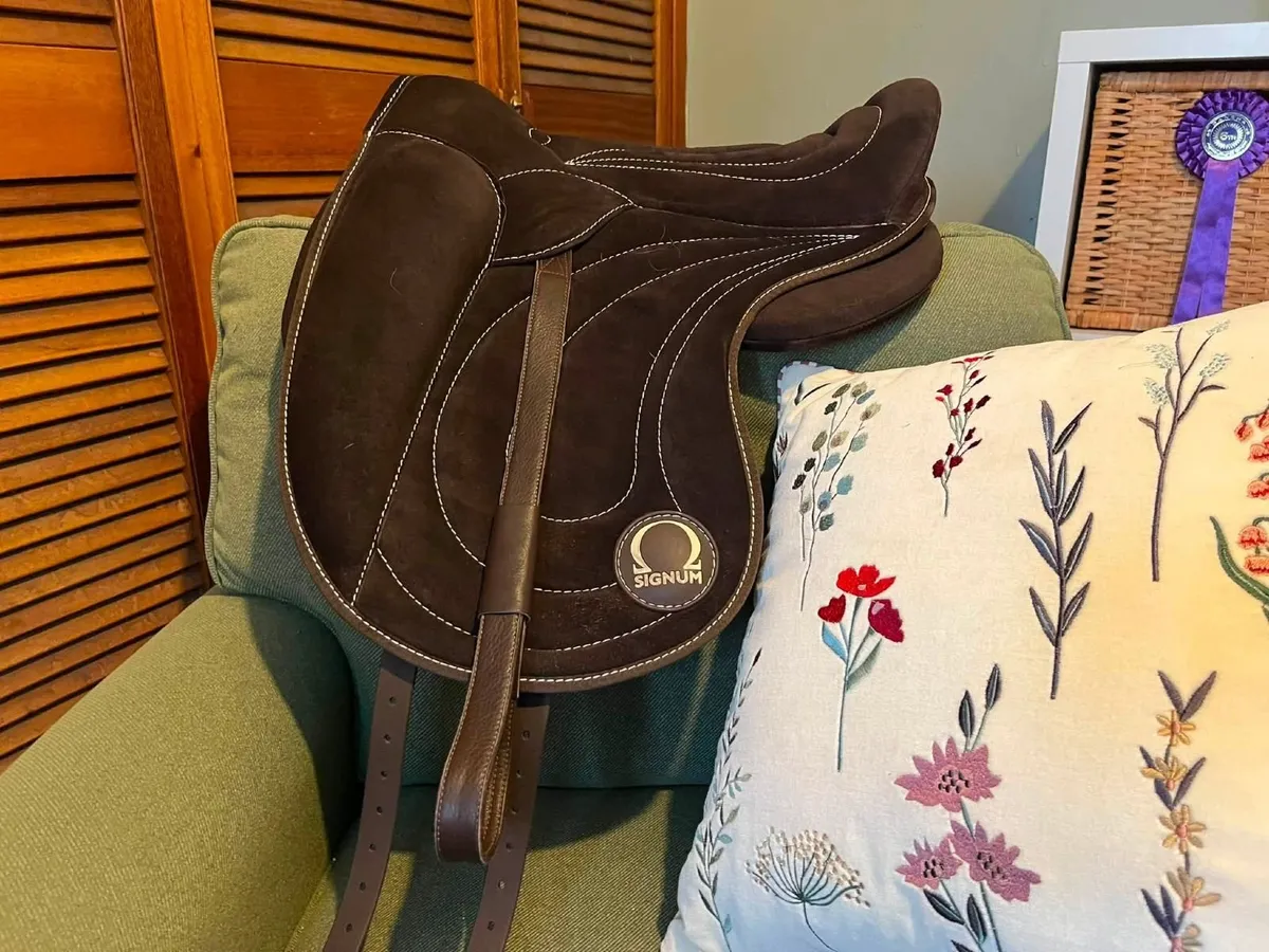Signum Sattel brown Paddle, medium size saddle - Image 1