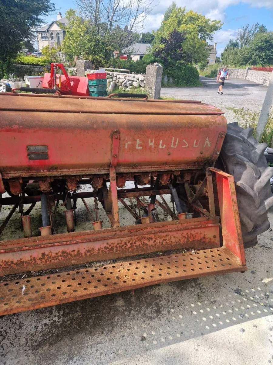 Massey Fergus seeder - Image 4