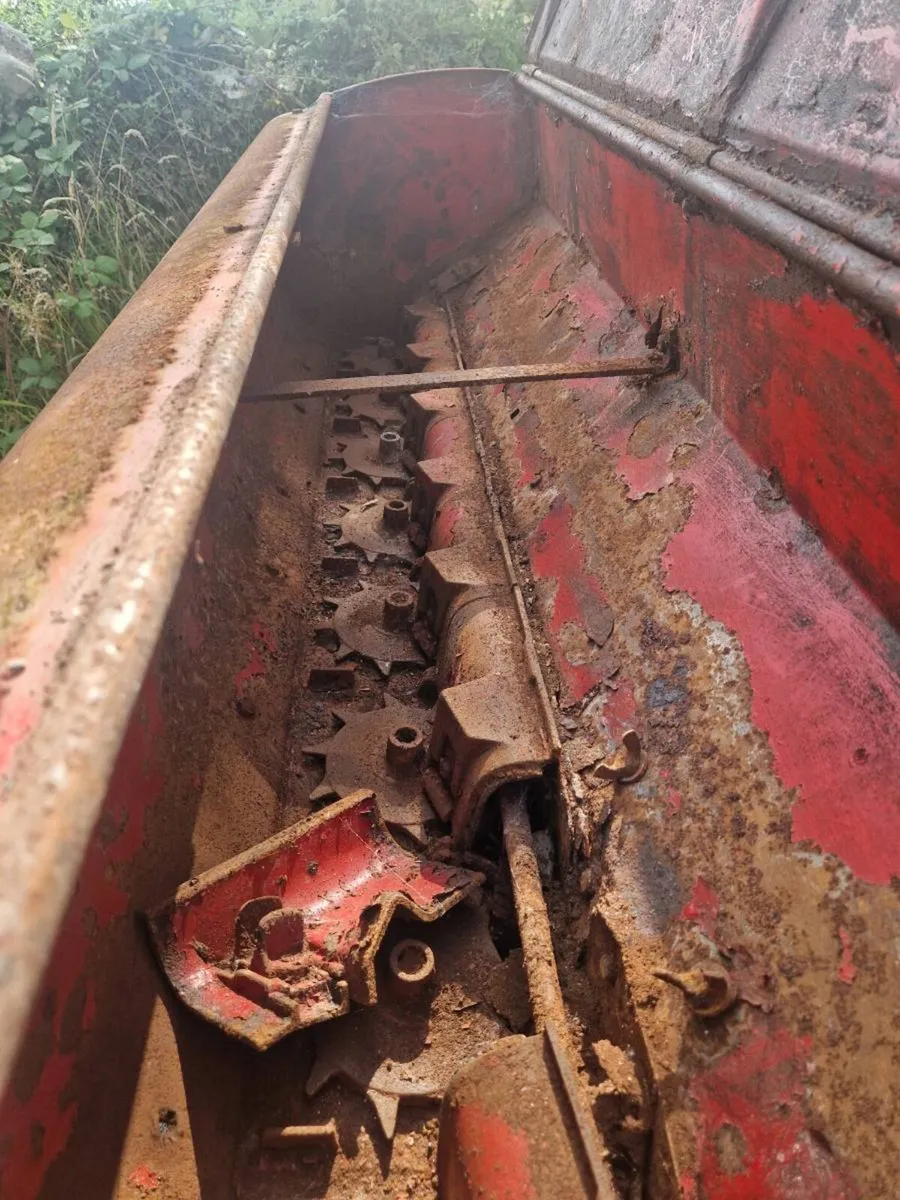 Massey Fergus seeder - Image 3