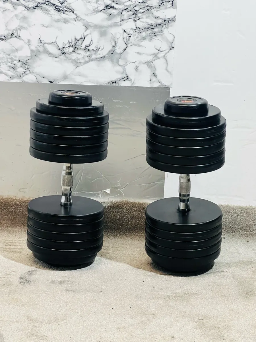 2 X 57.5 KG TOP QUALITY LIFE TIME DUMBBELLS - Image 1