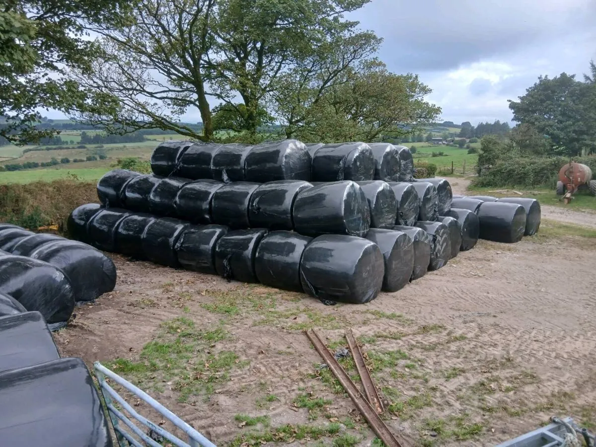 Clean organic silage for sale - Image 2