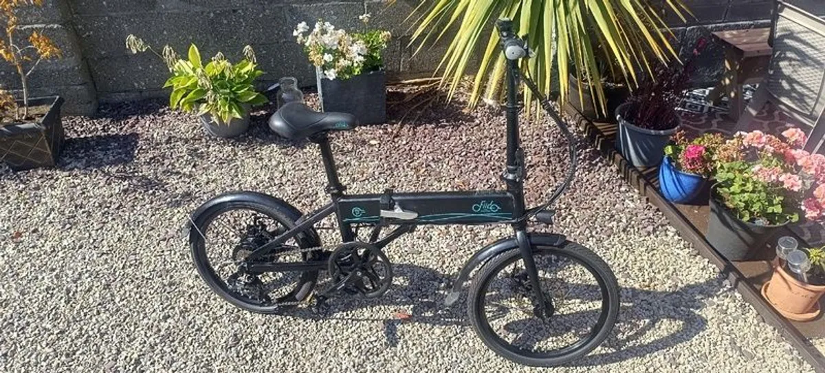 Fiido D4S electric folding bicycle - Image 1