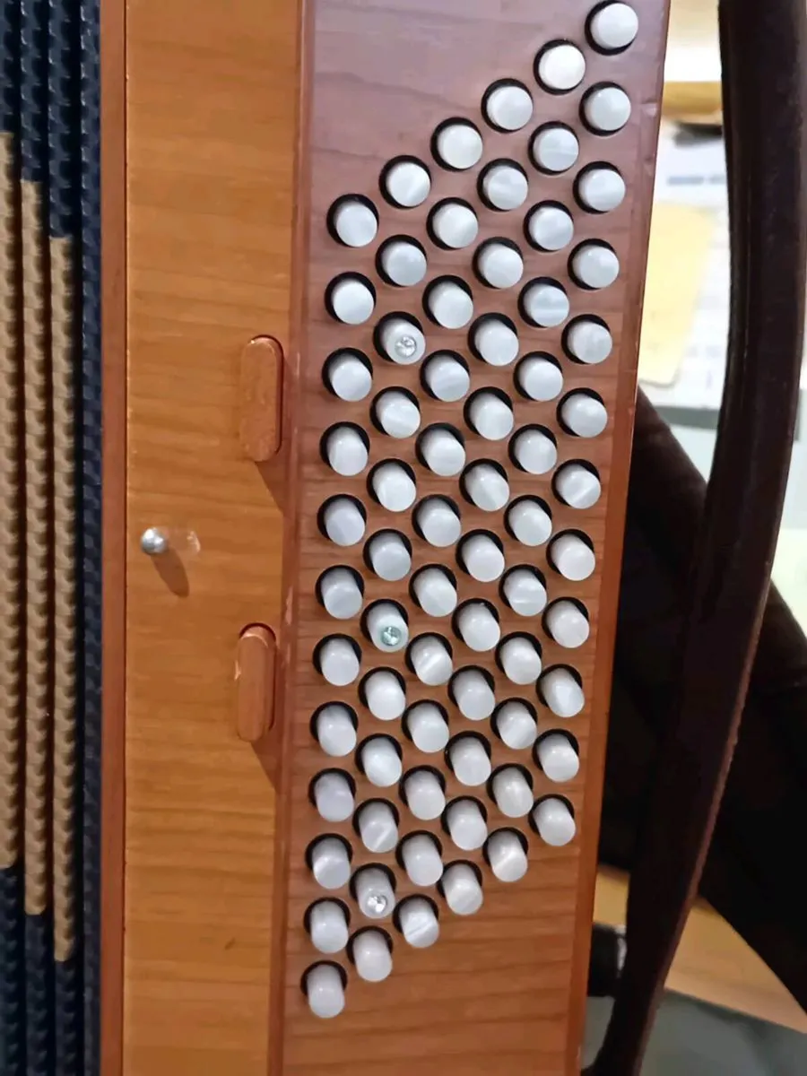 Accordions - Image 4