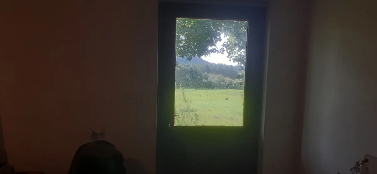 Renting a 3 bedroom house - Image 3