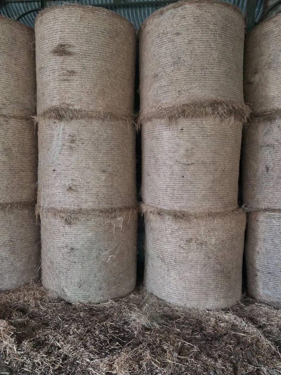 Hay