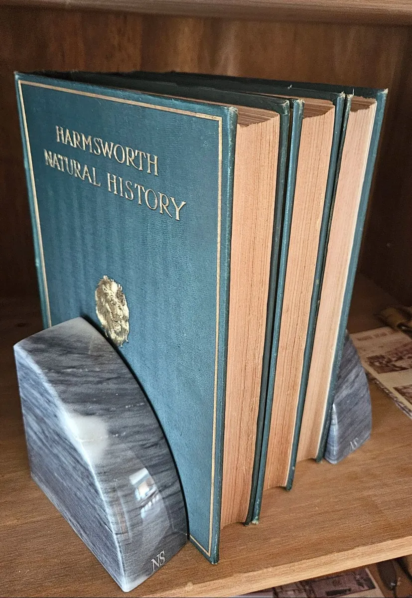 Harmsworth Natural History, 3 Volumes, Antique - Image 4