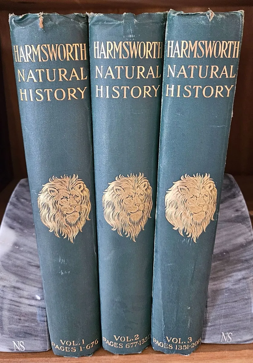 Harmsworth Natural History, 3 Volumes, Antique - Image 1