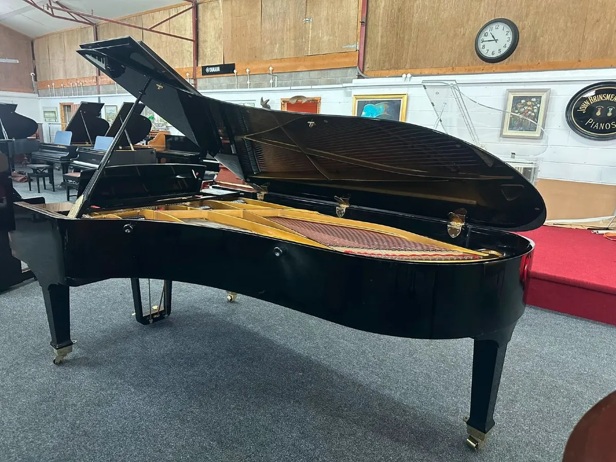 Petrof Concert Grand Rare 92 Note “Imperial” - Image 3