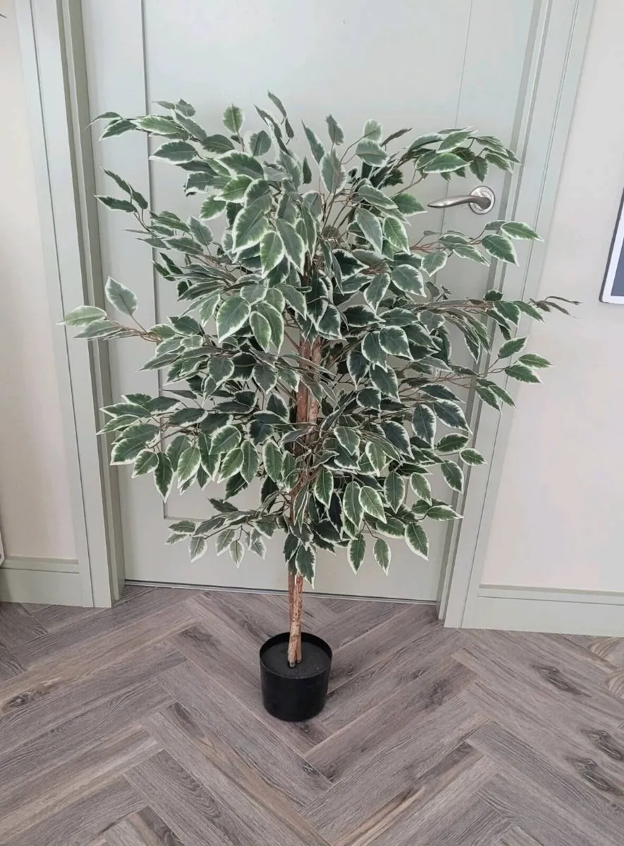 Artificial Ficus Tree - Image 1