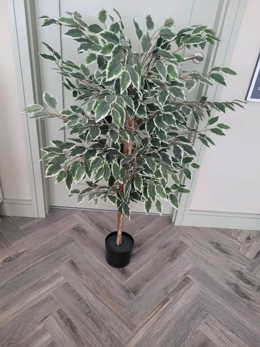Artificial Ficus Tree - Image 2