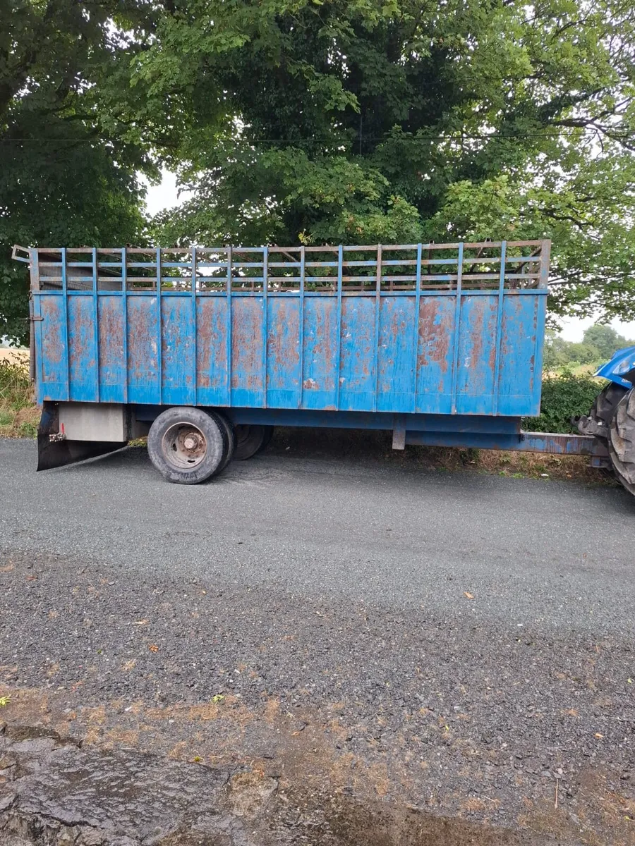 Cattle Trailer 20ft Aluminium Ramp - Image 3