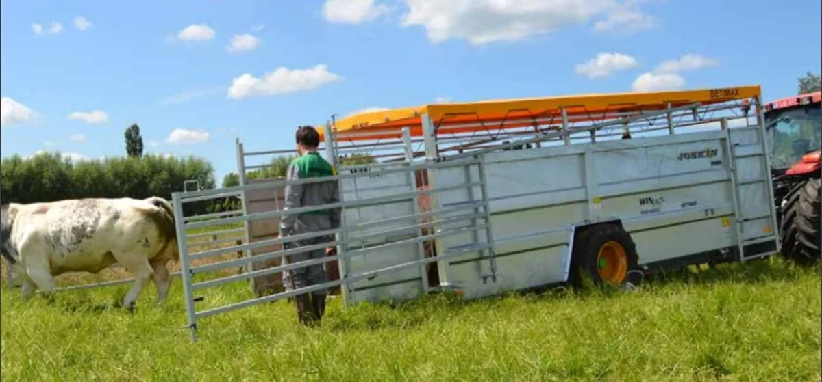 JOSKIN BETIMAX RDS6000 LIVESTOCK TRAILER - Image 1