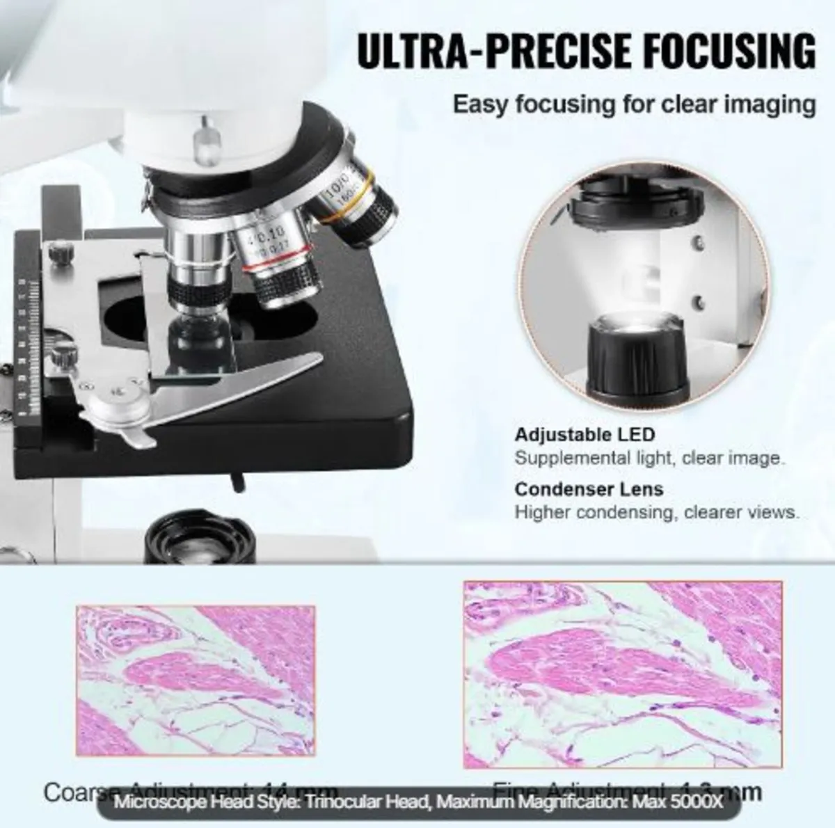 Compound Trinocular Microscope - Image 2