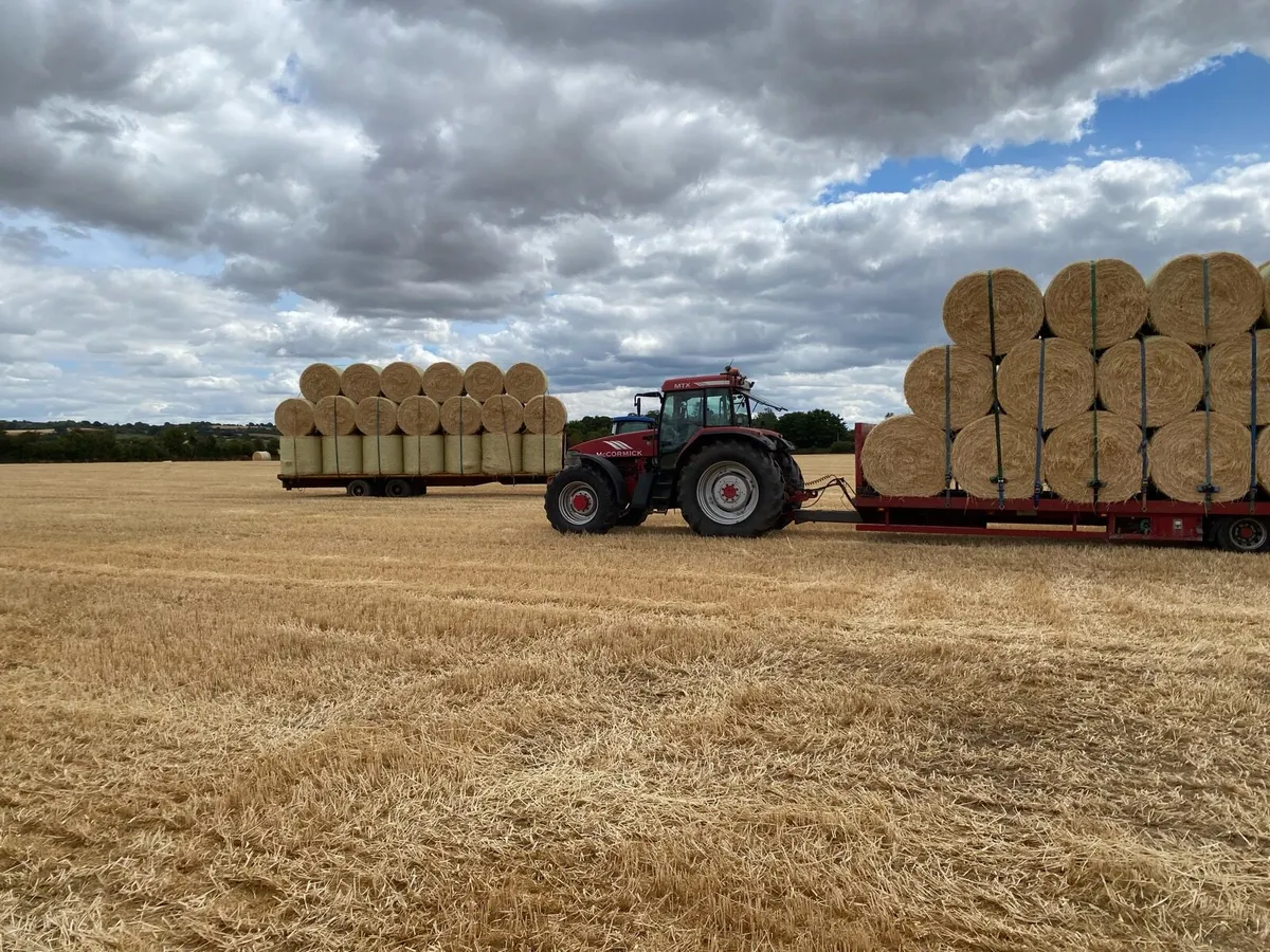 Bale trailer / Lowloader - Image 1