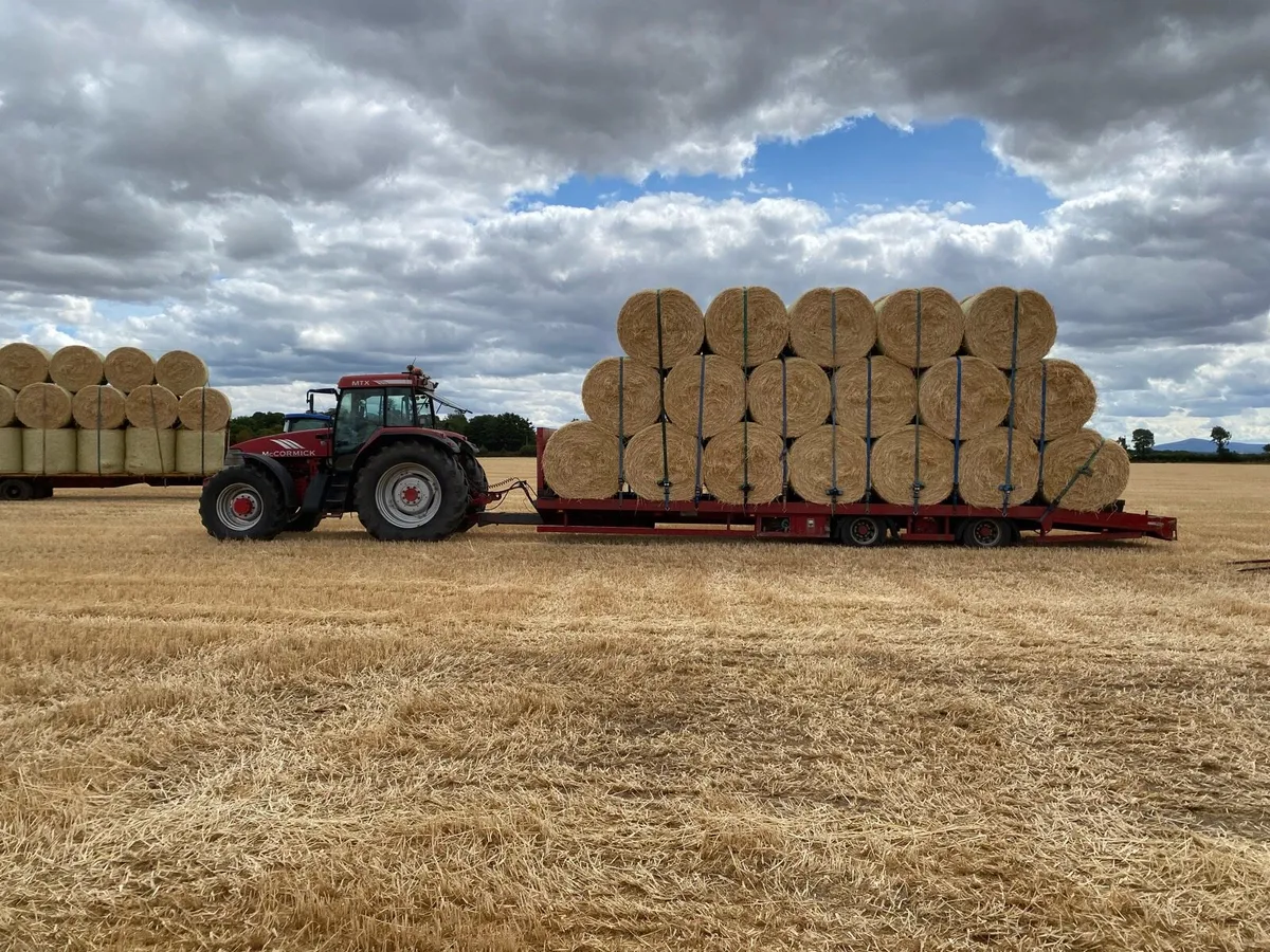 Bale trailer / Lowloader - Image 2