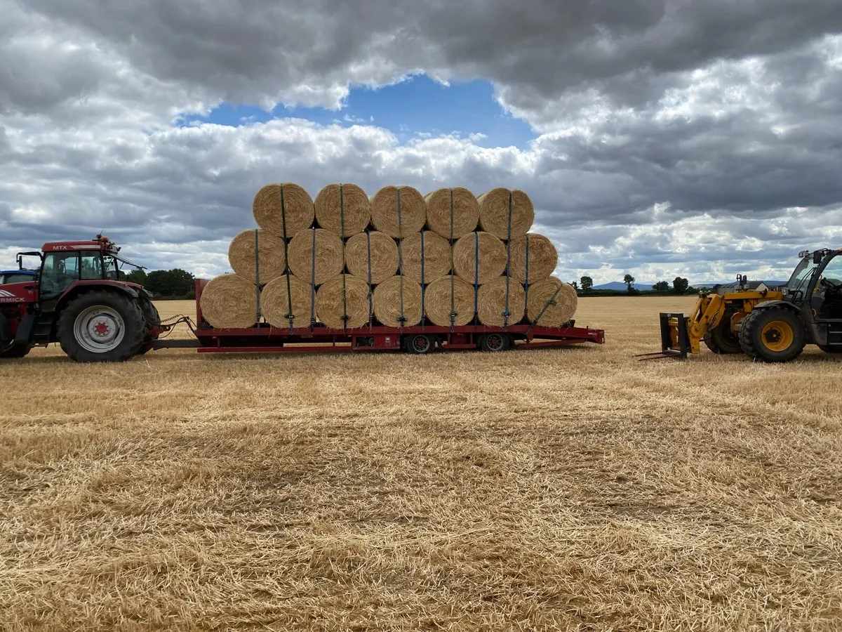 Bale trailer / Lowloader - Image 3