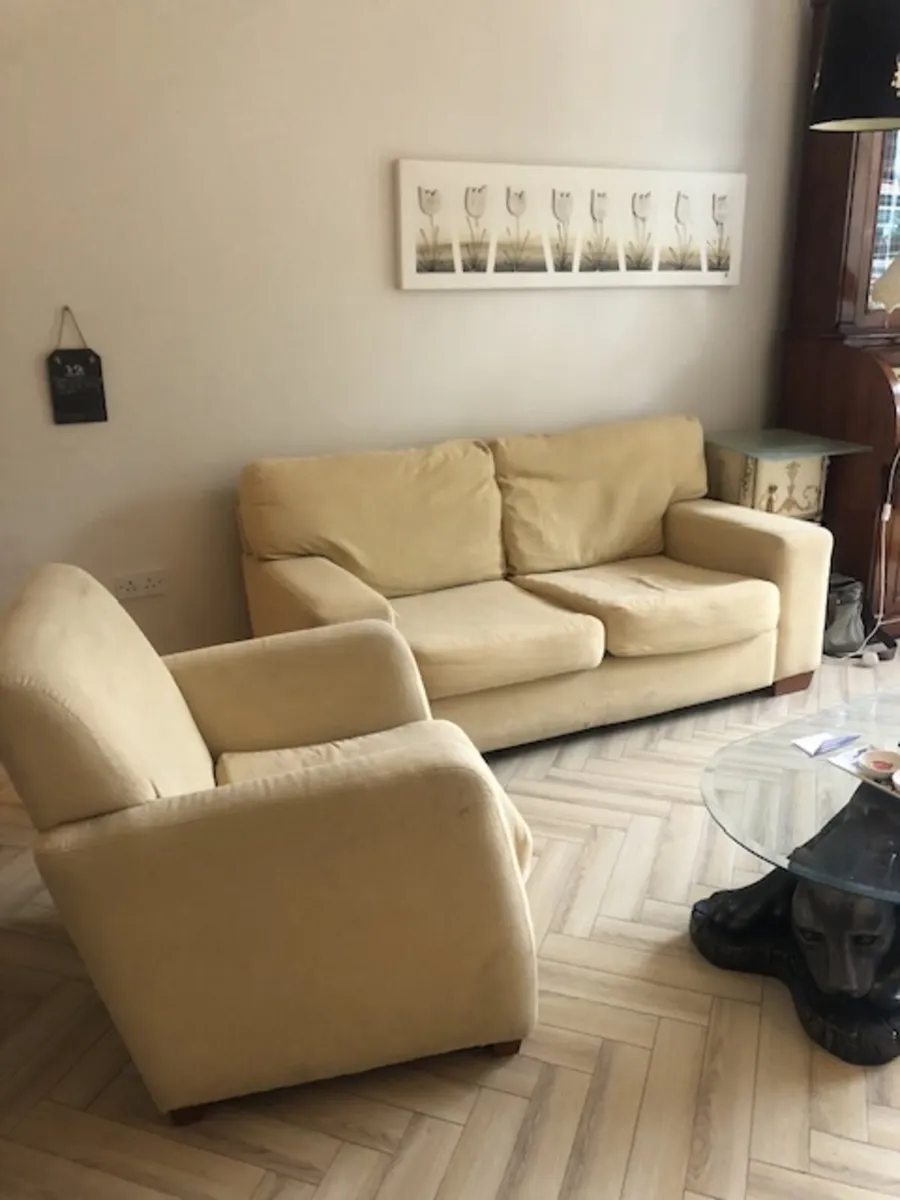 Sofa and chair: Two seater couch and chair - Image 1