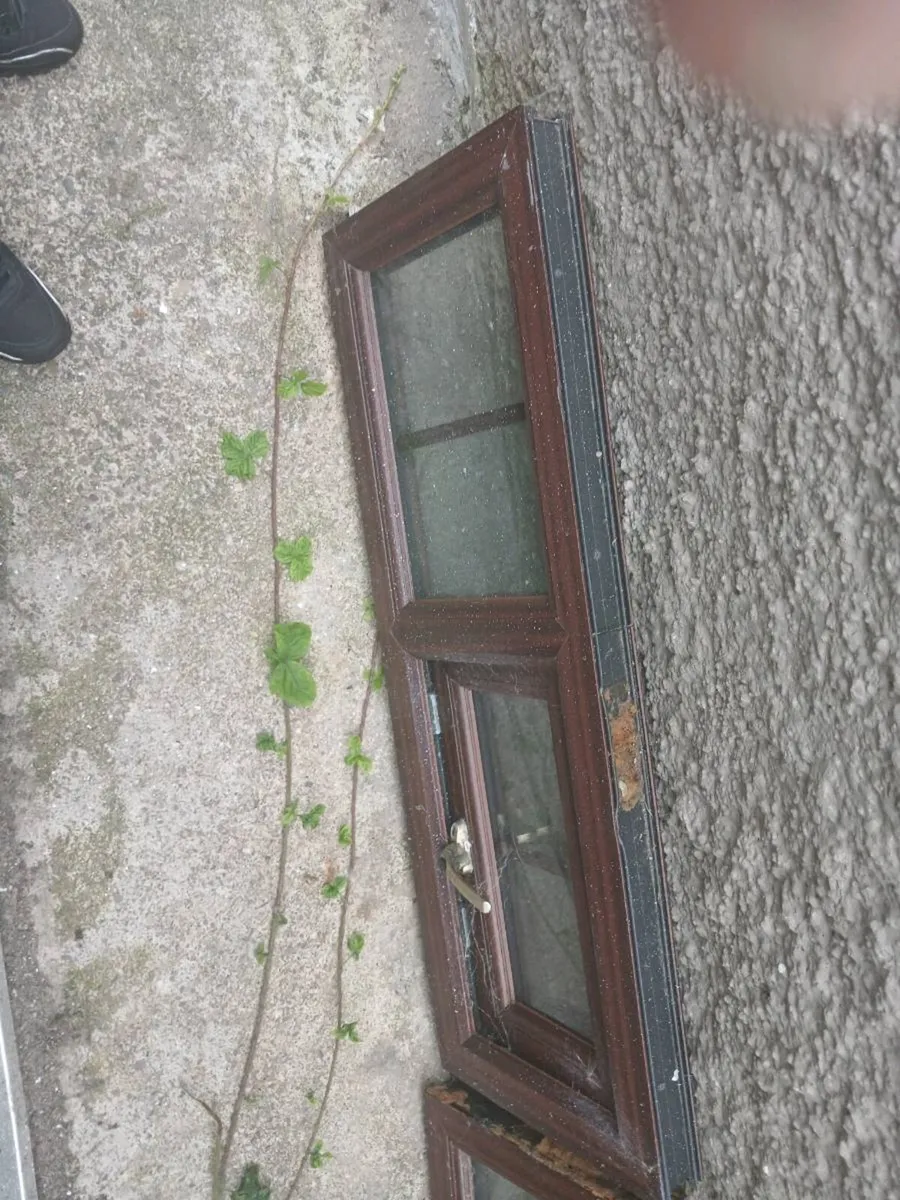 TWO DOUBLE GLAZED WINDOWS - Image 2