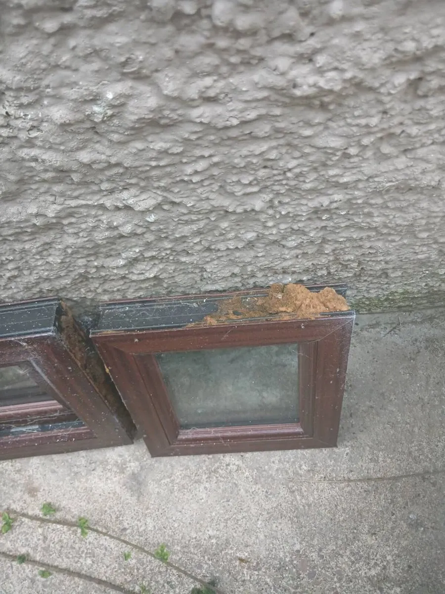TWO DOUBLE GLAZED WINDOWS - Image 1