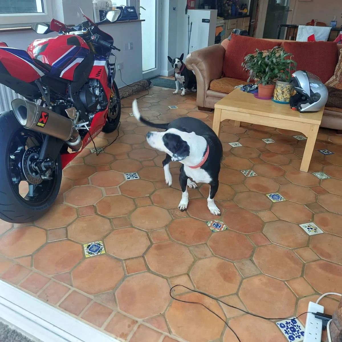 Honda cbr1000rr-r sp Fireblade - Image 3