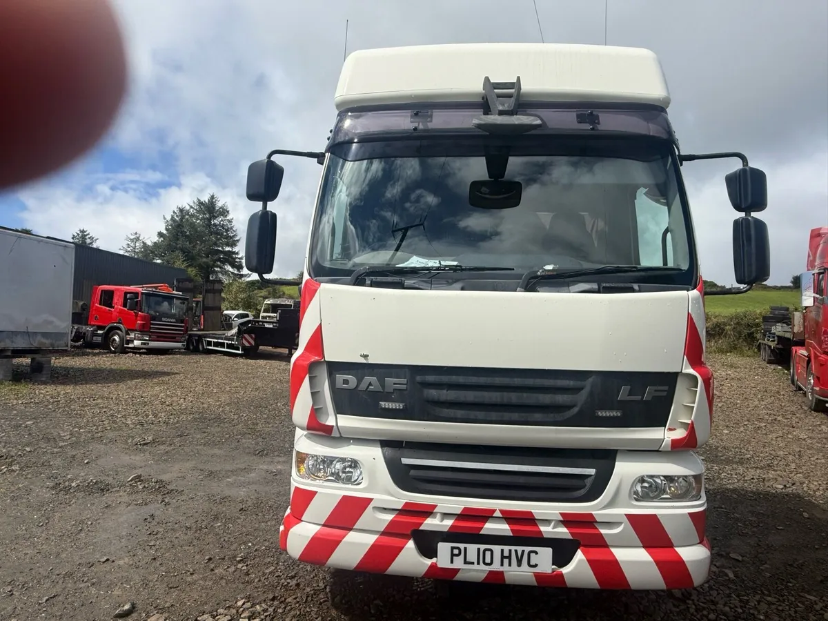 Daf Lf 55 - Image 2