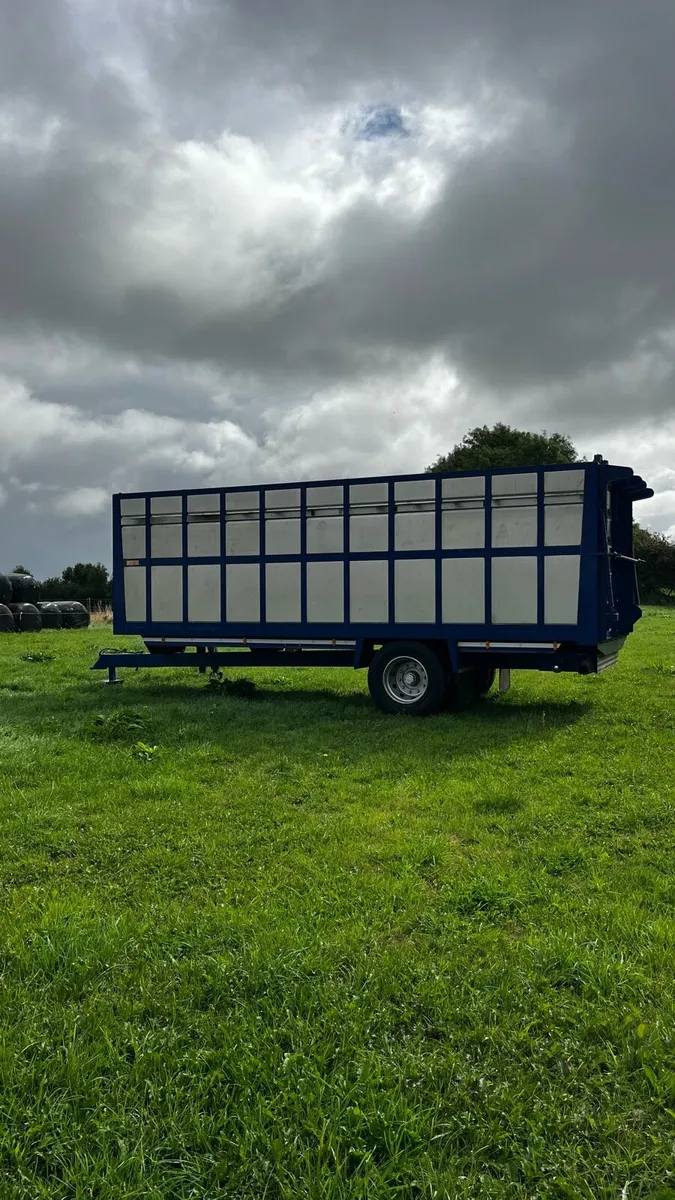 Looby 22ft Livestock Trailer - Image 3