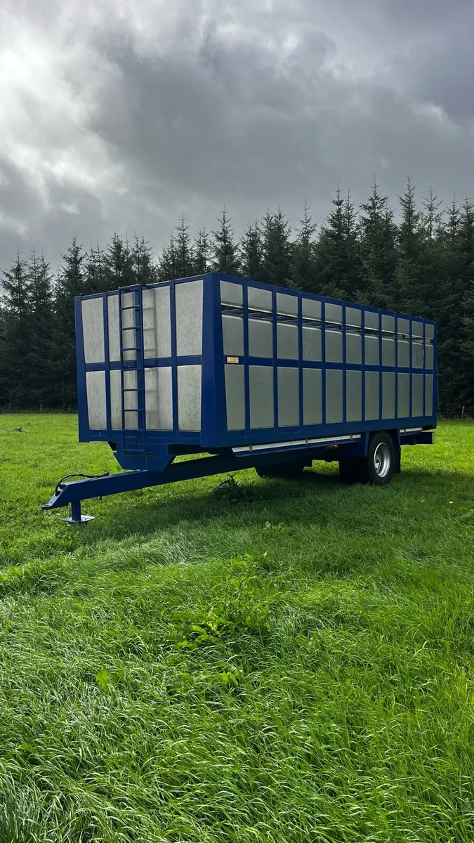 Looby 22ft Livestock Trailer - Image 2