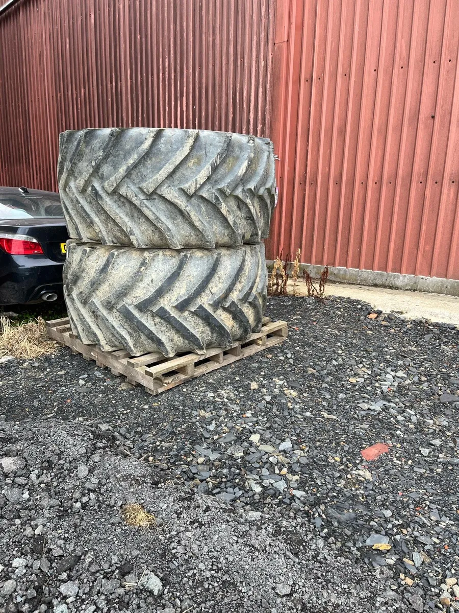 Farm clearance - Image 1