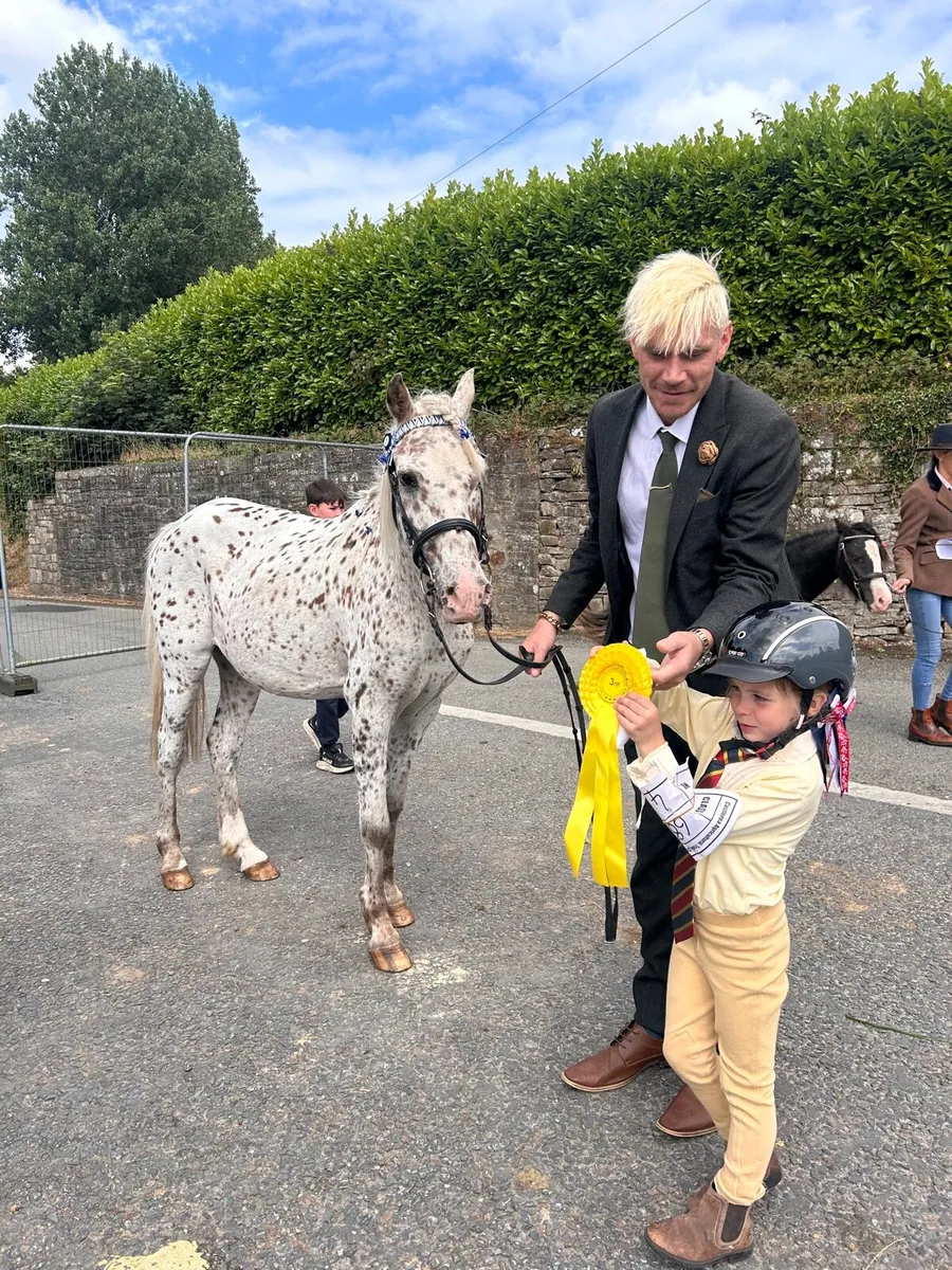 ❤️ Appaloosa show pony for sale ❤️ - Image 4