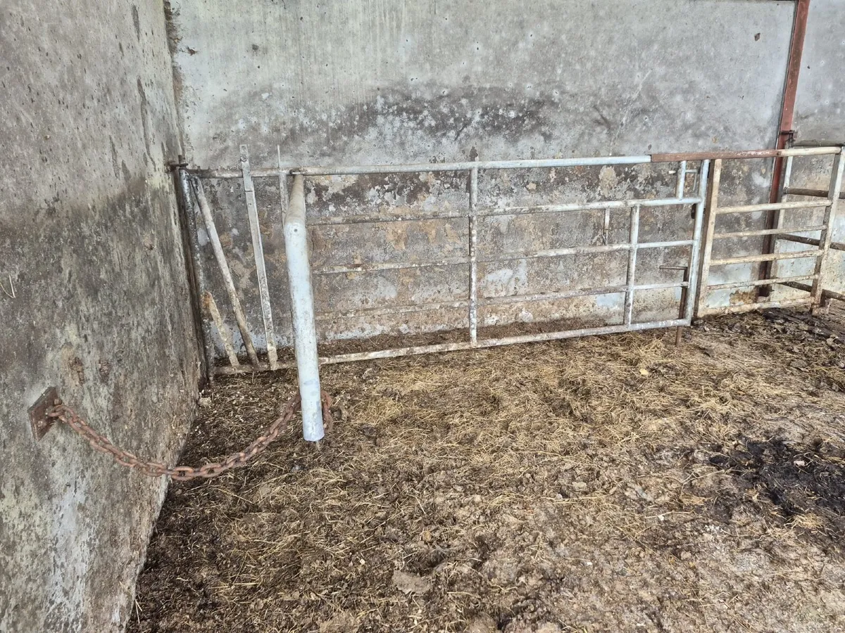 Calving Gate - Image 1