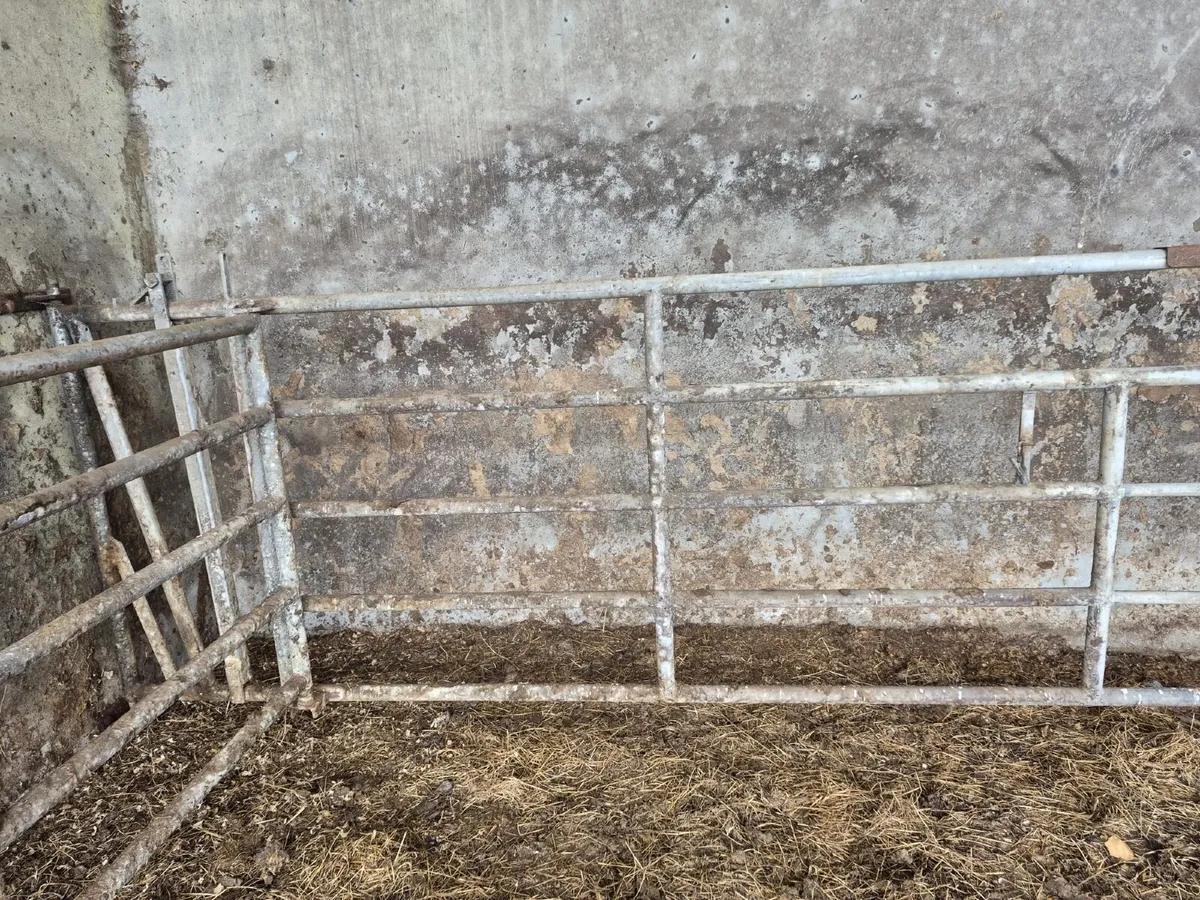 Calving Gate - Image 4
