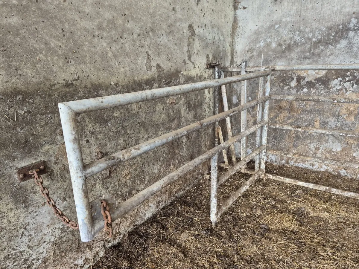 Calving Gate - Image 2