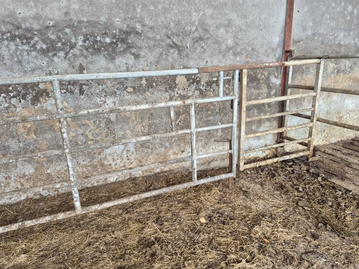 Calving Gate - Image 3