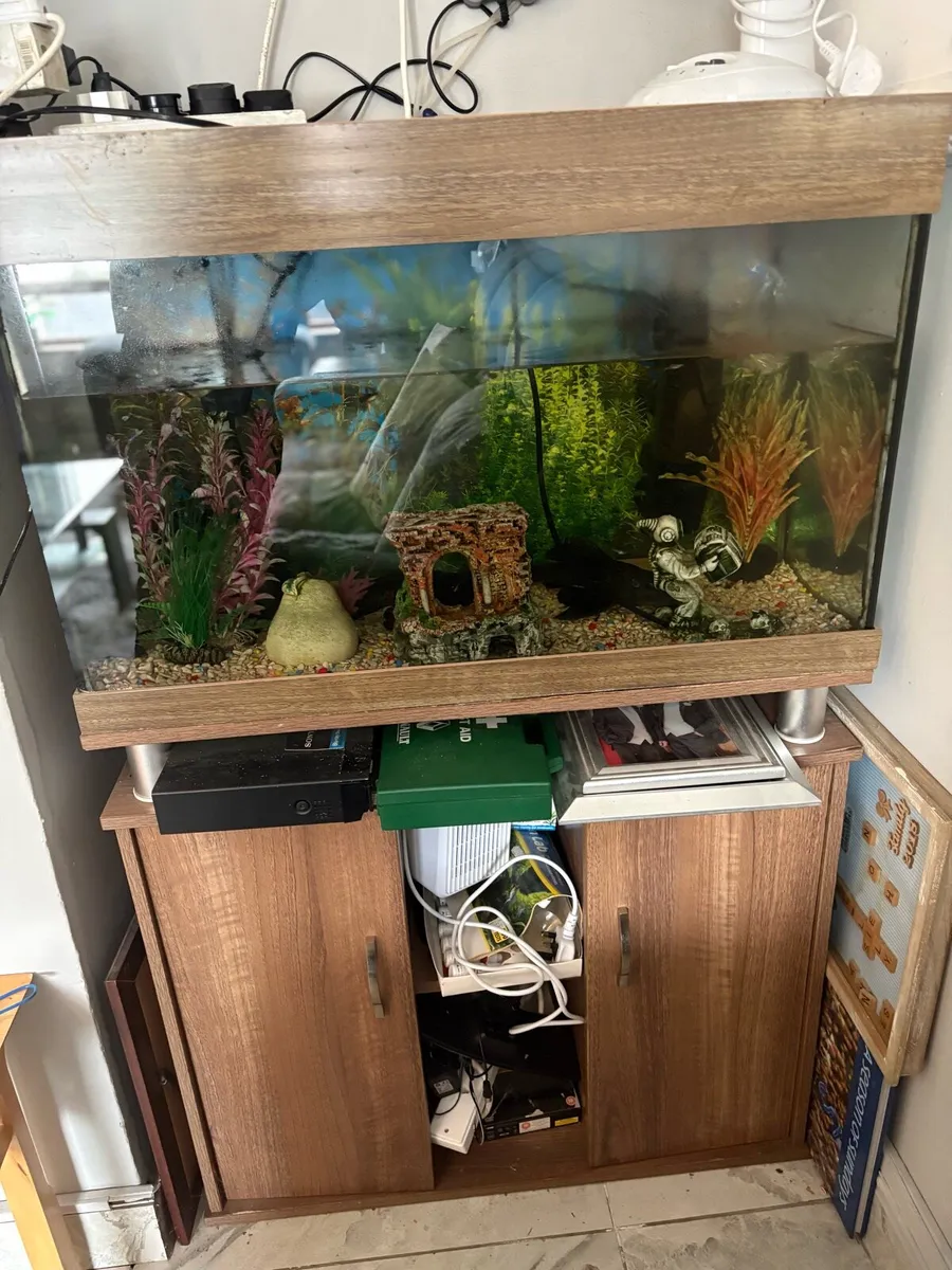 Fish tank with fish - Image 1