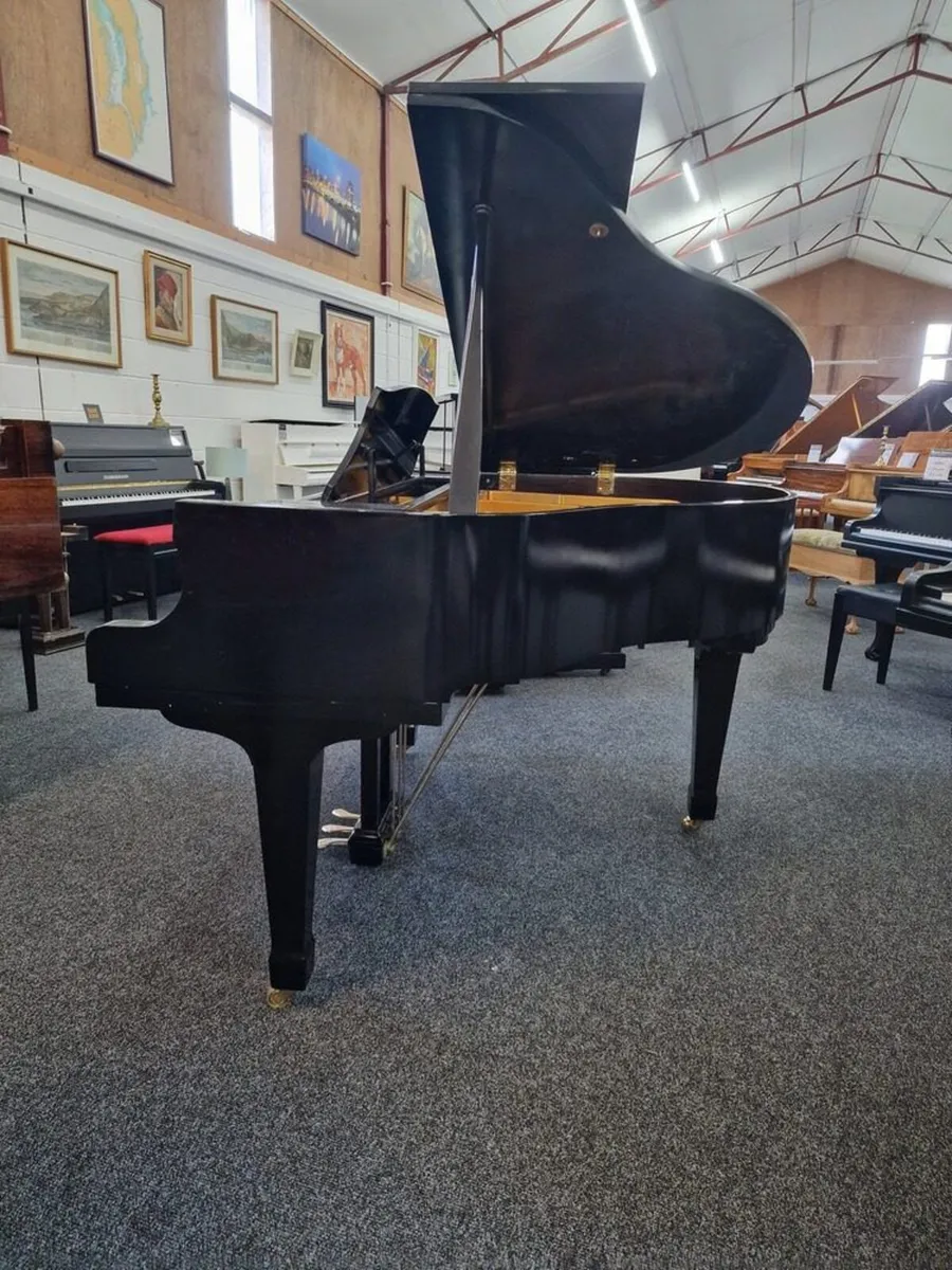 Offenbach Baby Grand Piano | PG-1 - Image 3