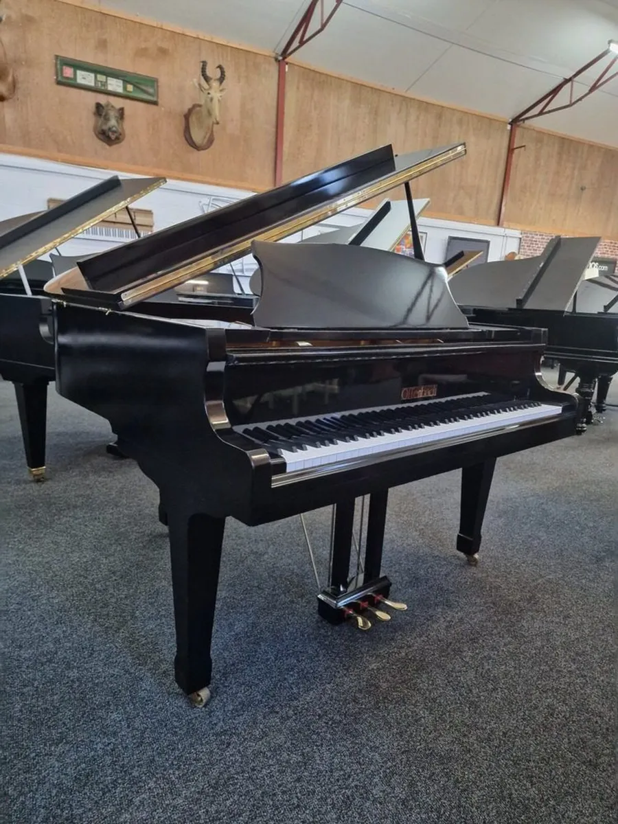 Offenbach Baby Grand Piano | PG-1 - Image 4