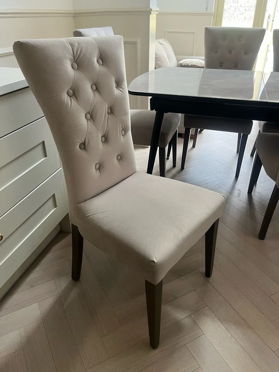 Kingsbury Velvet Dining Chairs x6 - Image 3