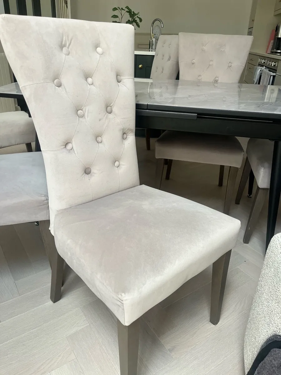Kingsbury Velvet Dining Chairs x6 - Image 4