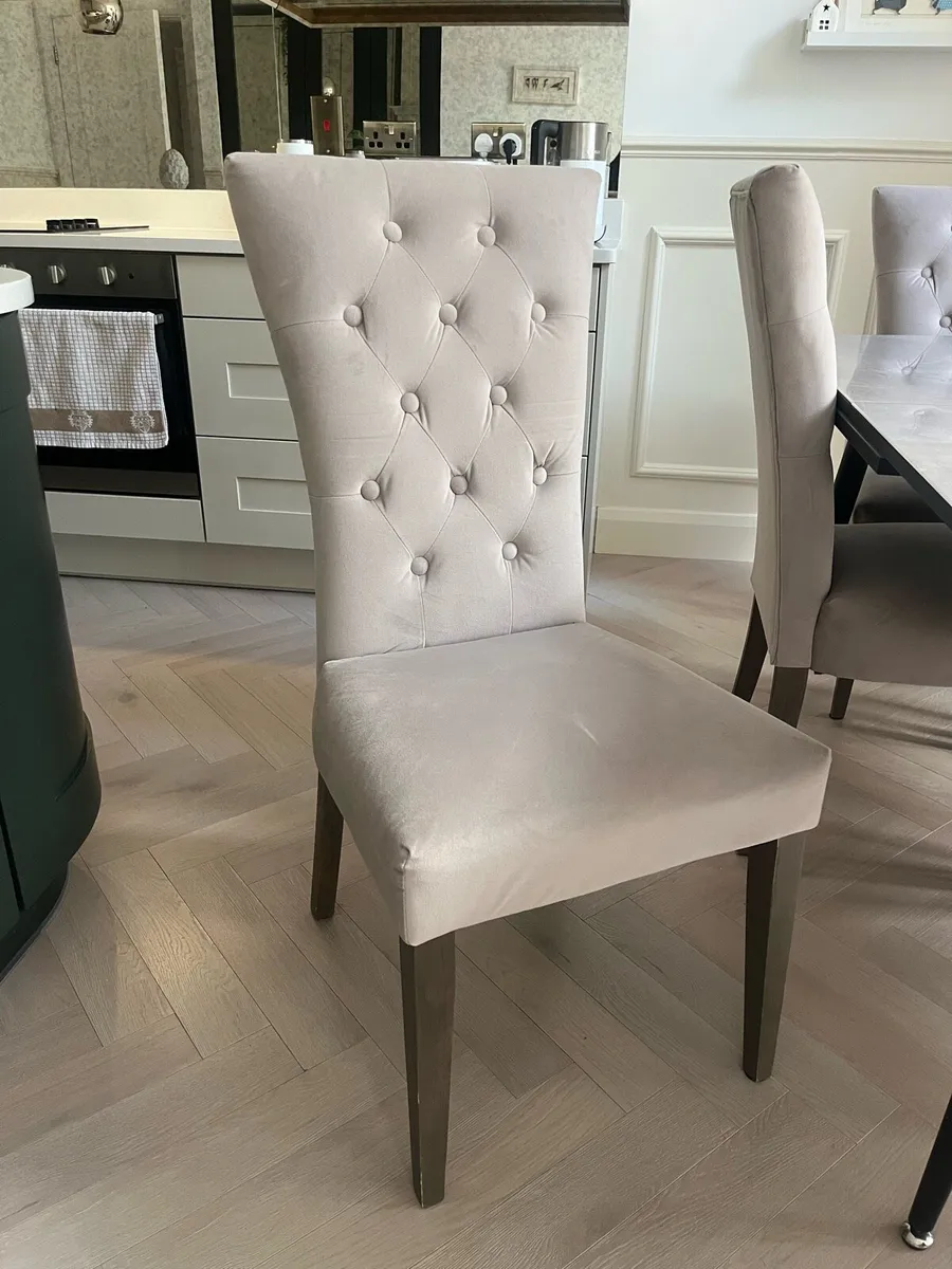 Kingsbury Velvet Dining Chairs x6 - Image 1