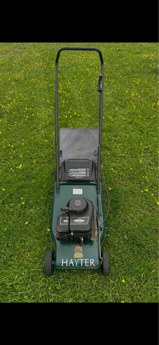 Hayter harrier 41 push lawnmower - Image 1